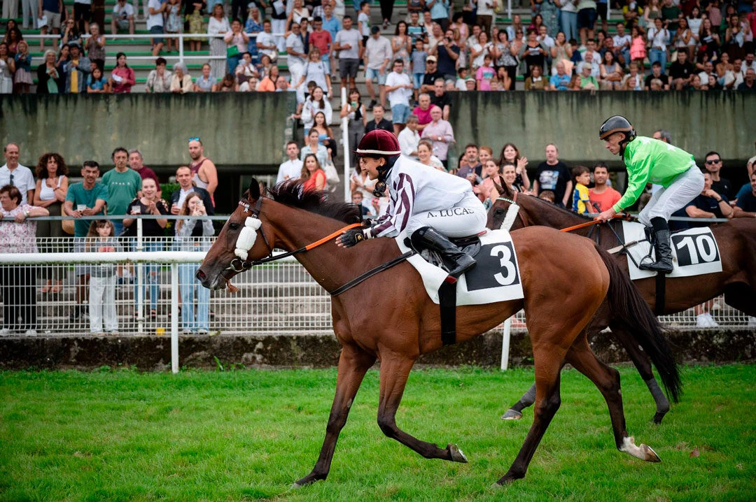 Ingeniería Prodesa patrocinó la 4ª carrera de caballos PSI en Donosti
