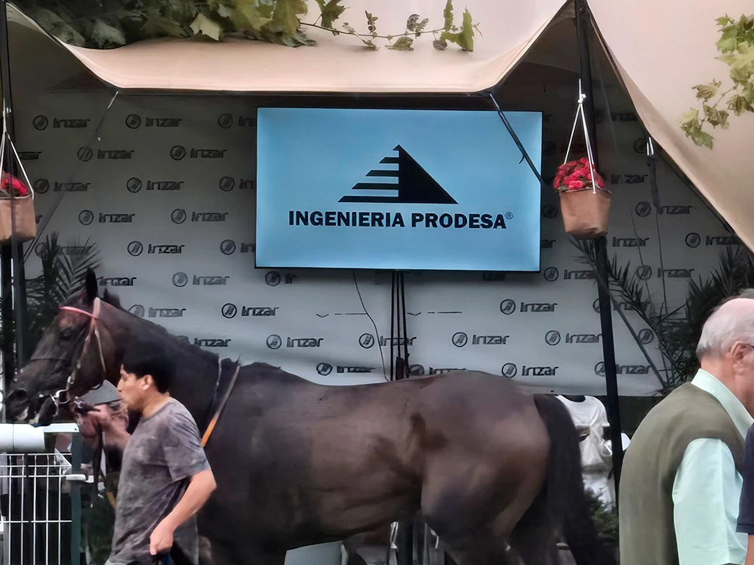 Ingenieria Prodesa Patrocinio Carrera Hipica Donosti 3 (4)