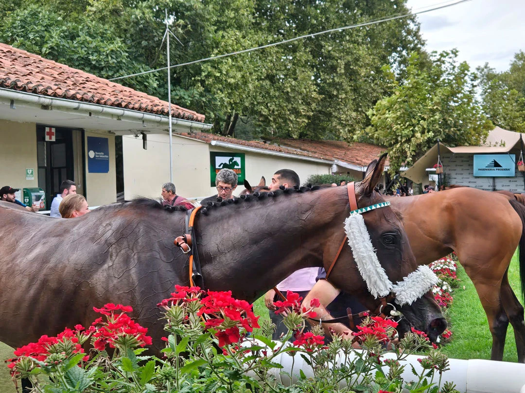 Ingeniería Prodesa patrocinó la 4ª carrera de caballos PSI en Donosti