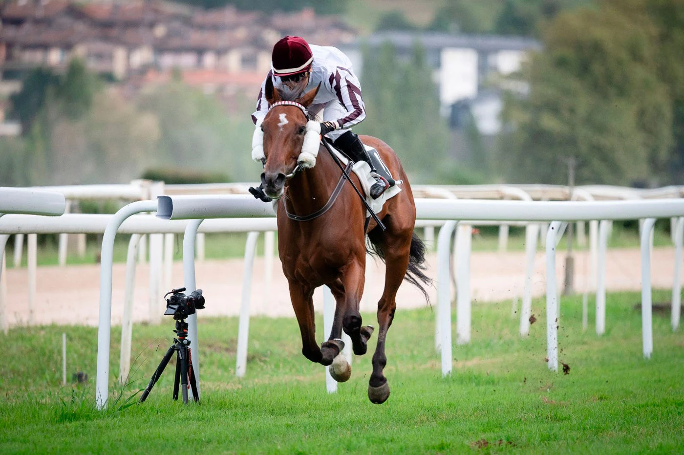 Ingeniería Prodesa patrocinó la 4ª carrera de caballos PSI en Donosti