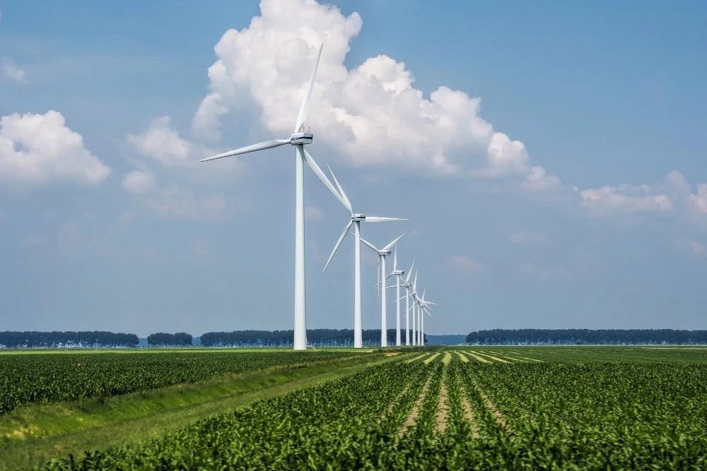 Energía renovable desperdiciada: España pierde un 7% - Ingenieria Prodesa